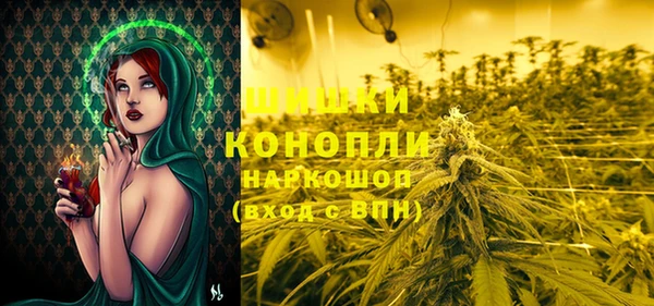крисы Белоозёрский