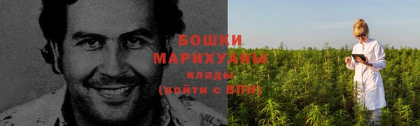 крисы Белоозёрский