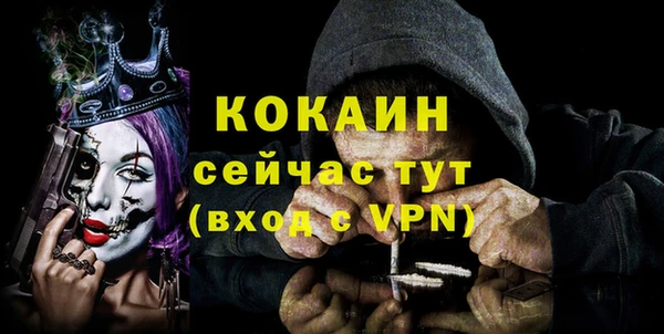 крисы Белоозёрский