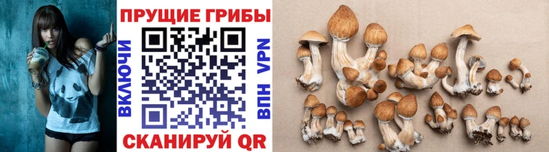 Галлюциногенные грибы Cubensis продажа наркотиков Ворсма